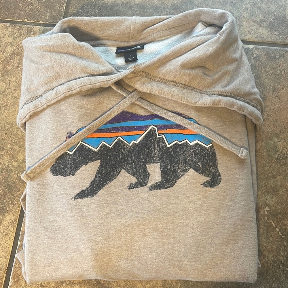 Patagonia hoodie men’s Lg